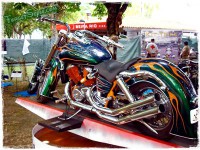 /album/viana-20111/viana02-jpg/