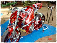 /album/viana-20111/viana03-jpg/